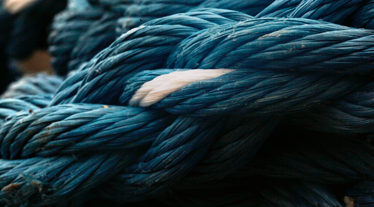 company culture mergers and acquisitions success