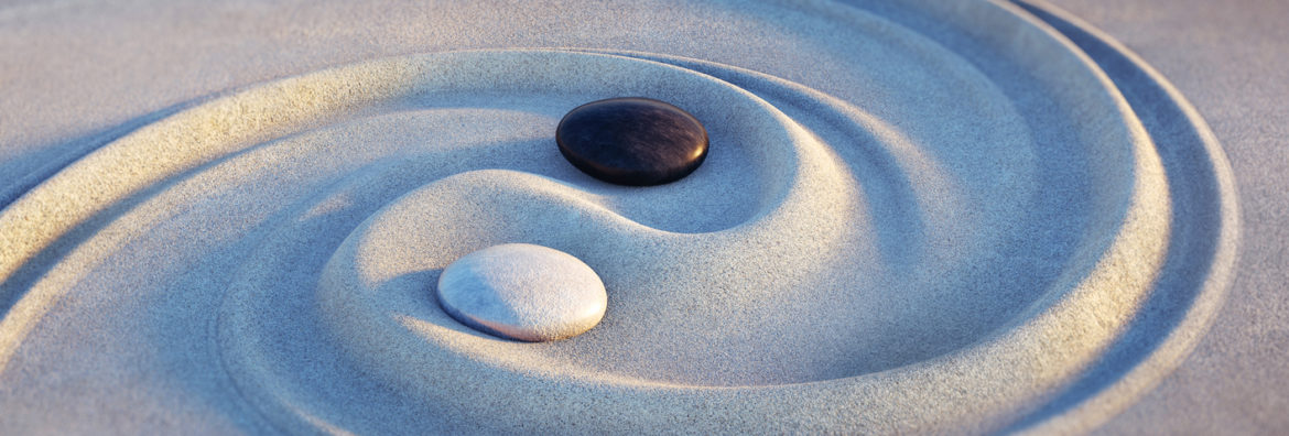 Yin Yang Leadership