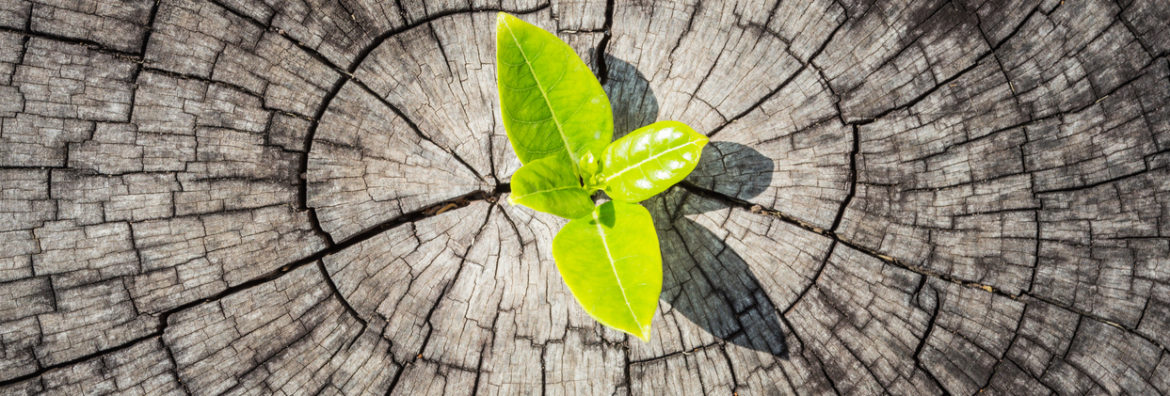 Agility and Resilience