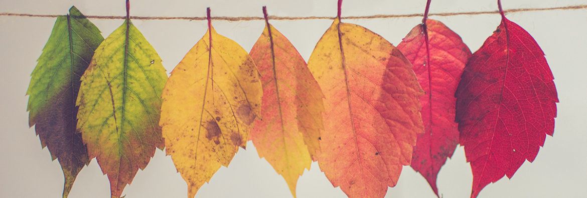 measure transformational change
