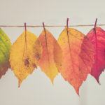 measure transformational change