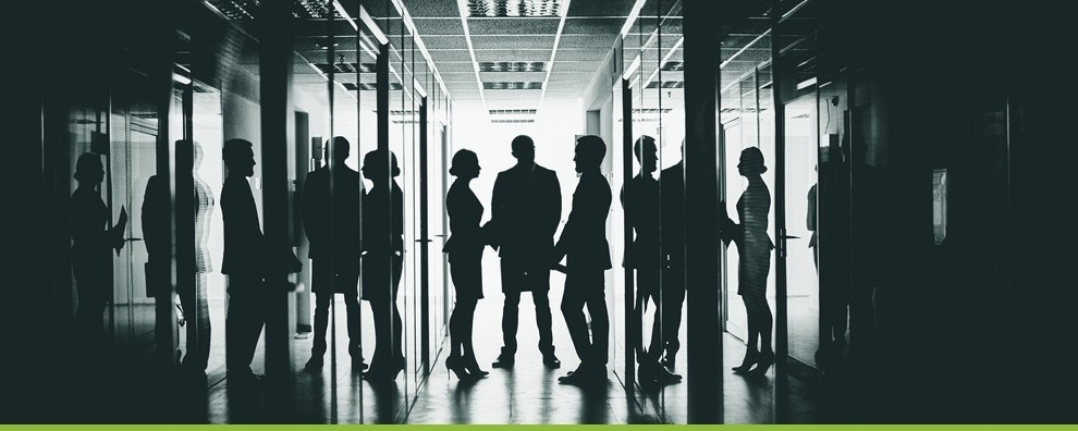 what makes you great in rapid growth
